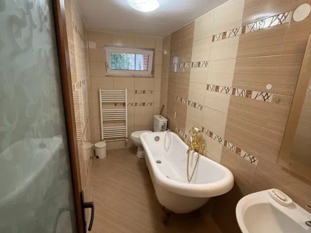 Spatiu comercial