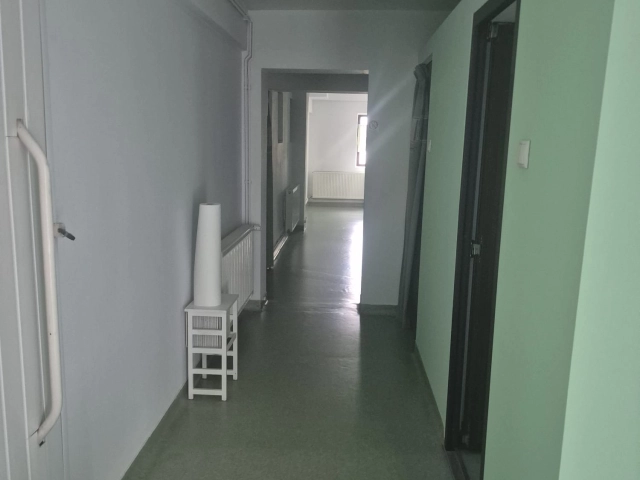 Spatiu comercial