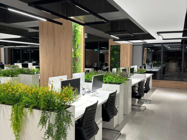 Spatiu comercial